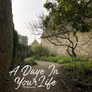 A Daye In Your Life Photography
